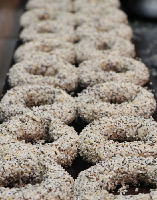 Seedy Bagel house 
